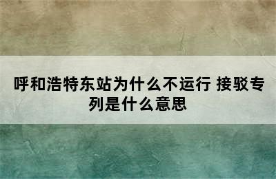 呼和浩特东站为什么不运行 接驳专列是什么意思